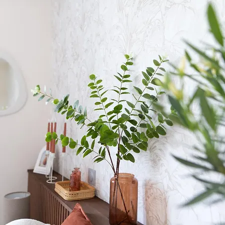 Villa A Castres, Maison 10 Personnes Avec Piscine Privee, Jardin Et 5 Castres (Tarn)