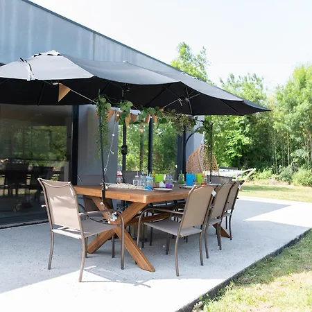 A Castres, Maison 10 Personnes Avec Piscine Privee, Jardin Et 5 Villa *